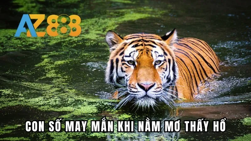 Con số may mắn khi nằm mơ thấy hổ 